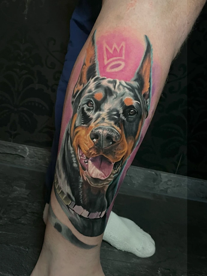 Realistisches Dobermann-Tattoo in Farbe mit pinkem Hintergrund und Krone am Unterschenkel von Profis in Friedberg, Frankfurt am Main und Hanau.