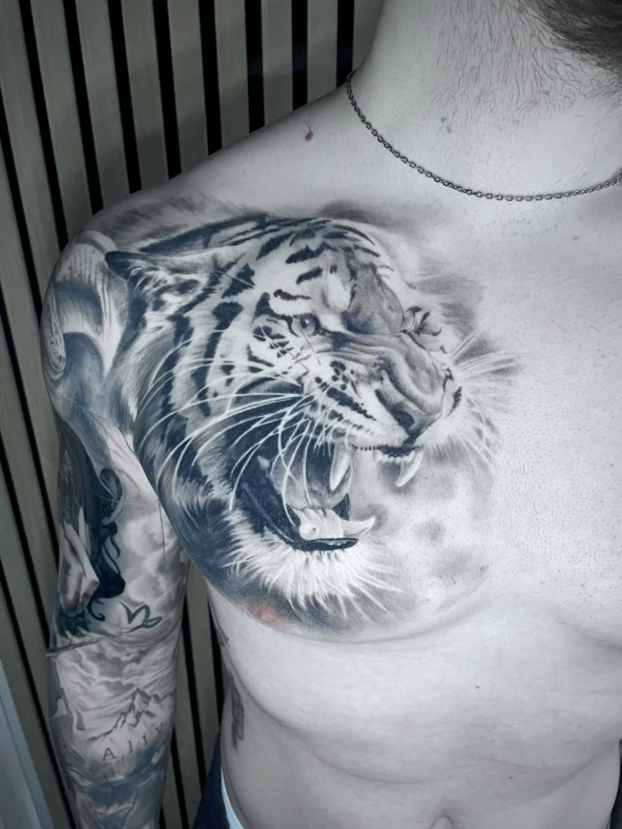 Dein kraftvolles Tiger-Realismus Tattoo auf der Brust in Friedberg, Hanau und Frankfurt am Main – book your professional black and grey wildlife session now. Realistic Black and Grey Snarling Tiger Chest and Shoulder Tattoo in Friedberg Hanau Frankfurt am Main