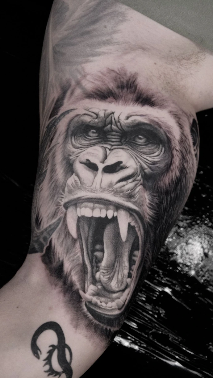 Professionelle Tattoo-Kunst in Friedberg, Hanau und Frankfurt am Main – erlebe kraftvollen Tier-Realismus mit einer detailreichen Gorilla-Maske und buche jetzt deinen Termin. Realistic Black and Grey Snarling Gorilla Tattoo Wildlife Realism Friedberg Hanau Frankfurt am Main