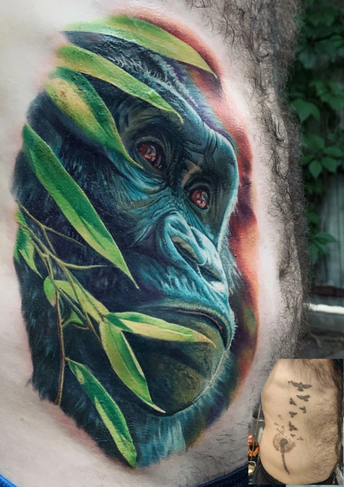 Dieses beeindruckende Cover-up Tattoo am Bauch zeigt ein kraftvolles Porträt eines Gorillas inmitten von leuchtend grünen Tropenblättern. Die meisterhafte Umsetzung im Farbrealismus nutzt eine gesättigte Palette und dichten Farbauftrag, um das alte Motiv vollständig zu überdecken. Durch die präzise Detailtiefe der Fellstruktur und die lebendigen Kontraste der Flora entsteht ein plastisches, neues Kunstwerk, das die alte Tätowierung perfekt kaschiert und eine starke Präsenz auf der Haut entfaltet.